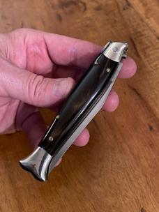 8” Italian Fish Picklock 