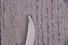 Case XX 1984 Small Game Knife # 523-3 1/4 SSP