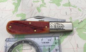 GEC 861121 Two Acorn Barlow rust orange natural bone stainless clip blade NEW