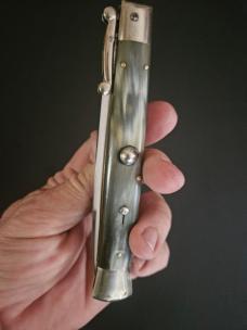 Early Inoxid 11" Swing guard