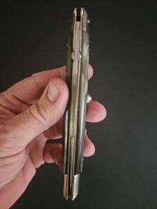 Early Inoxid 11" Swing guard