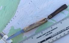 GEC 052121SS Keychain Knife Spear Blade Sambar Stag NEW