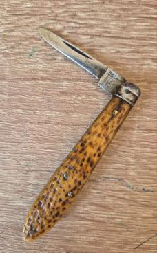 3 1/8" Vintage Hibbard Spencer Bartlett & Co. Quill Cutting Knife, Jigged Bone Scales 