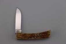 Case XX™ 6.5 Bone Stag Sodbuster Jr. Stainless Pocket Knife