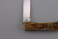 Case XX™ 6.5 Bone Stag Sodbuster Jr. Stainless Pocket Knife