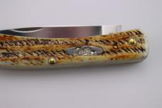 Case XX™ 6.5 Bone Stag Sodbuster Jr. Stainless Pocket Knife