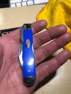 Case Royal Blue Synthetic Cheetah Cub 