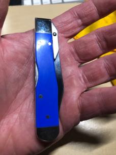 Case Royal Blue Synthetic Cheetah Cub 