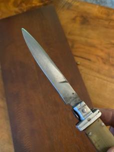 MEXICAN PICKLOCK 