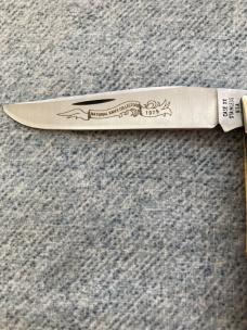 CASE XX, STAINLESS USA (2-Dot), 1979, #5154 SSP, NKCA, Stag, Single Blade Trapper - MINT