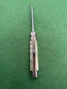 Pearl Humpback 7”