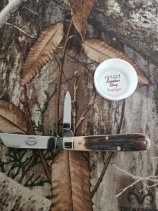 Gec 14 Sambar Stag 