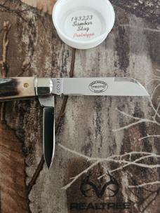 Gec 14 Sambar Stag 