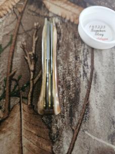 Gec 14 Sambar Stag 