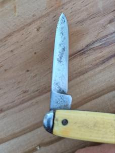 2 3/4" Vintage A.W. Wadsworth & Son2-Blade Pocket Knife, Germany, Celluloid Handles
