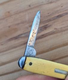 2 3/4" Vintage A.W. Wadsworth & Son2-Blade Pocket Knife, Germany, Celluloid Handles