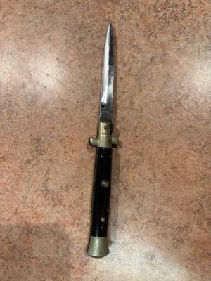 Raimondo 9 Picklock