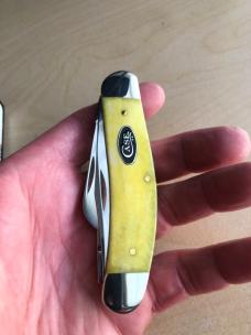2024 Case Yellow Bone Smooth Sowbelly 