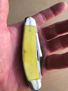 2024 Case Yellow Bone Smooth Sowbelly 