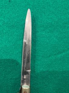 Raimondo 9” Picklock Project Knife
