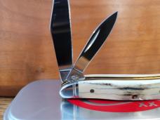 2022 Case XX Stag Peanut,  Pattern # 5220 SS Nice !!!
