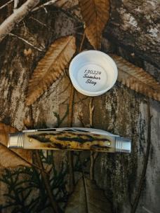 Gec 13 Sambar Stag 