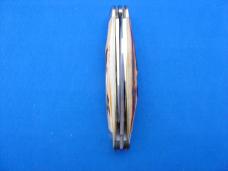 Case Classic 53046 Stag Handle 3 Backspring Whittler Knife