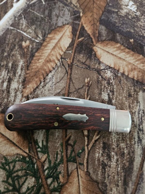 Gec 47 Arizona Ironwood 