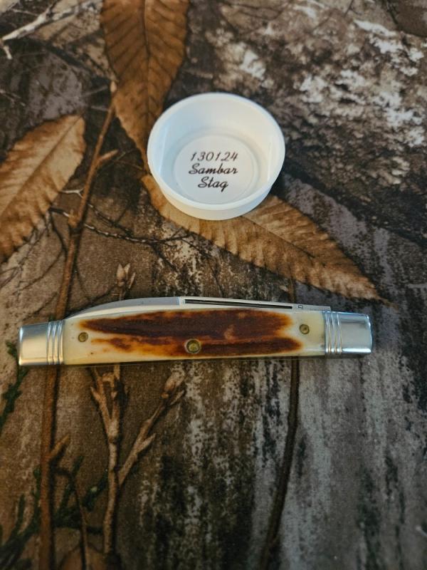Gec 13 Sambar Stag 