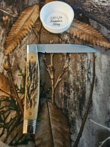 Gec 13 Sambar Stag 