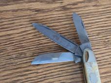 Bulldog White Chip Abalone 5 Blade Anglo Saxon Whittler Only 3 Produced Box & COA