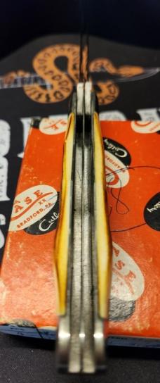 Case 1977 Blue Scroll Stag Trapper 5254 - Absolutely MINT