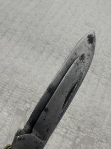 Boker USA Vintage Tree Brand 4 Blade Congress Model 6113 Pocket Knife (133)