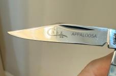 Vintage 1978 Case XX Appaloosa Bone Peanut knife. Original Pumpkin Box & Presentation Case. 
