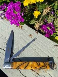 GEC SFA