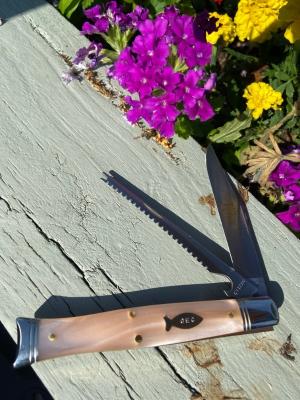 GEC SFA