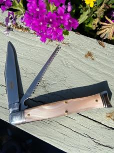 GEC SFA
