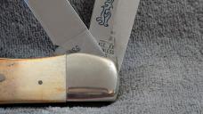 Case XX 1977 Stag Blue Scroll Folding Hunter