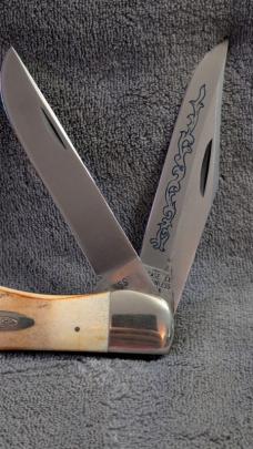 Case XX 1977 Stag Blue Scroll Folding Hunter