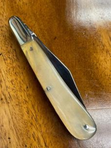 Taylor's Eye Witness Gentlemen's Clip Barlow, Clip/Pen blades with Ram's Horn covers