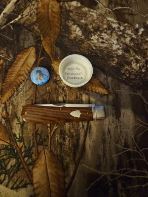 Gec 74 American Chestnut 