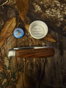 Gec 74 American Chestnut 