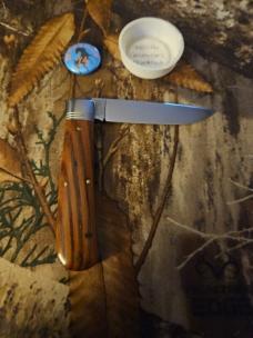 Gec 74 American Chestnut 