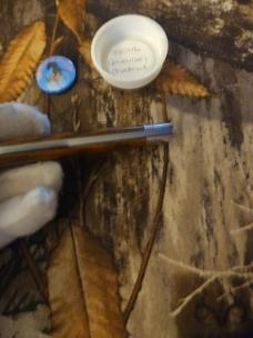 Gec 74 American Chestnut 