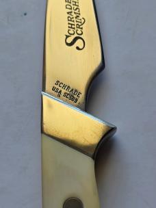 Vintage Schrade USA SC509 "Great Eagle" Scrimshaw Fixed Blade Knife - Full Box & Sheath Bundle
