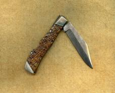 Old Shapleigh Arkansas Hunter