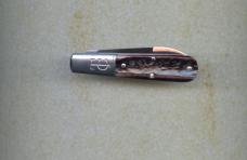 GEC 152126  soup bone b
