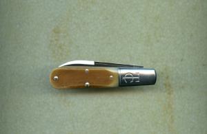 Waynorth TC 152121 Sepia saw cut bone