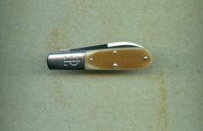 Waynorth TC 152121 Sepia saw cut bone