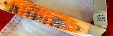 Case xx 2002 Doctors Knife, Mdl# 6185 SS w/ Great Autumn Bone Handles +Silver Script Shield -NOS